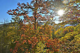 Stowe, Vermont

Everyone should experience fall in Vermont at least once. And what better way than a zipline, from which you can sample the local fall colors from above? Or just go the more conventional route along hiking trails. (Courtesy TripAdvisor)