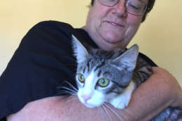 Cindy Sharper, of Last Chance Animal Rescue, with one of the new arrivals from Florida. (WTOP/Rich Johnson)