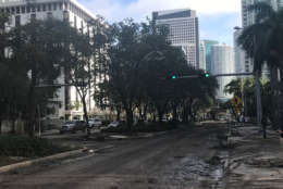 Storm damage in Miami Sept. 11, 2017. (WTOP/Steve Dresner)