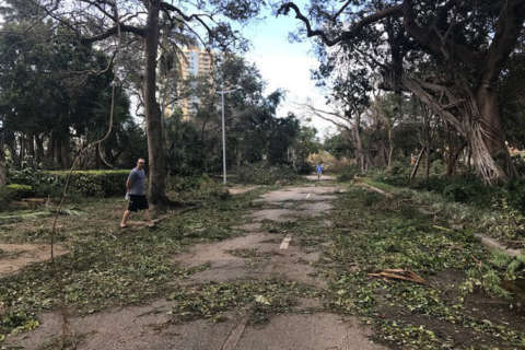 Photos: Hurricane Irma batters Florida