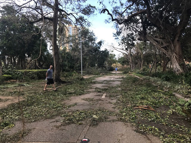 Storm damage in Miami Sept. 11, 2017. (WTOP/Steve Dresner)