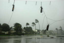 Traffic signals on Marco Island whip and twist in high winds during Hurricane Wilma.
 (WTOP/Dave Dildine)
