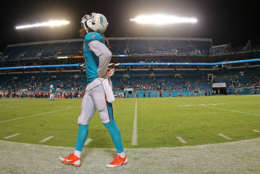 MIAMI GARDENS, FL - SEPTEMBER 03:  Cobi Hamilton #7 of the Miami Dolphins looks on during a preseason game against the Tampa Bay Buccaneers at Sun Life Stadium on September 3, 2015 in Miami Gardens, Florida.  (Photo by Mike Ehrmann/Getty Images)