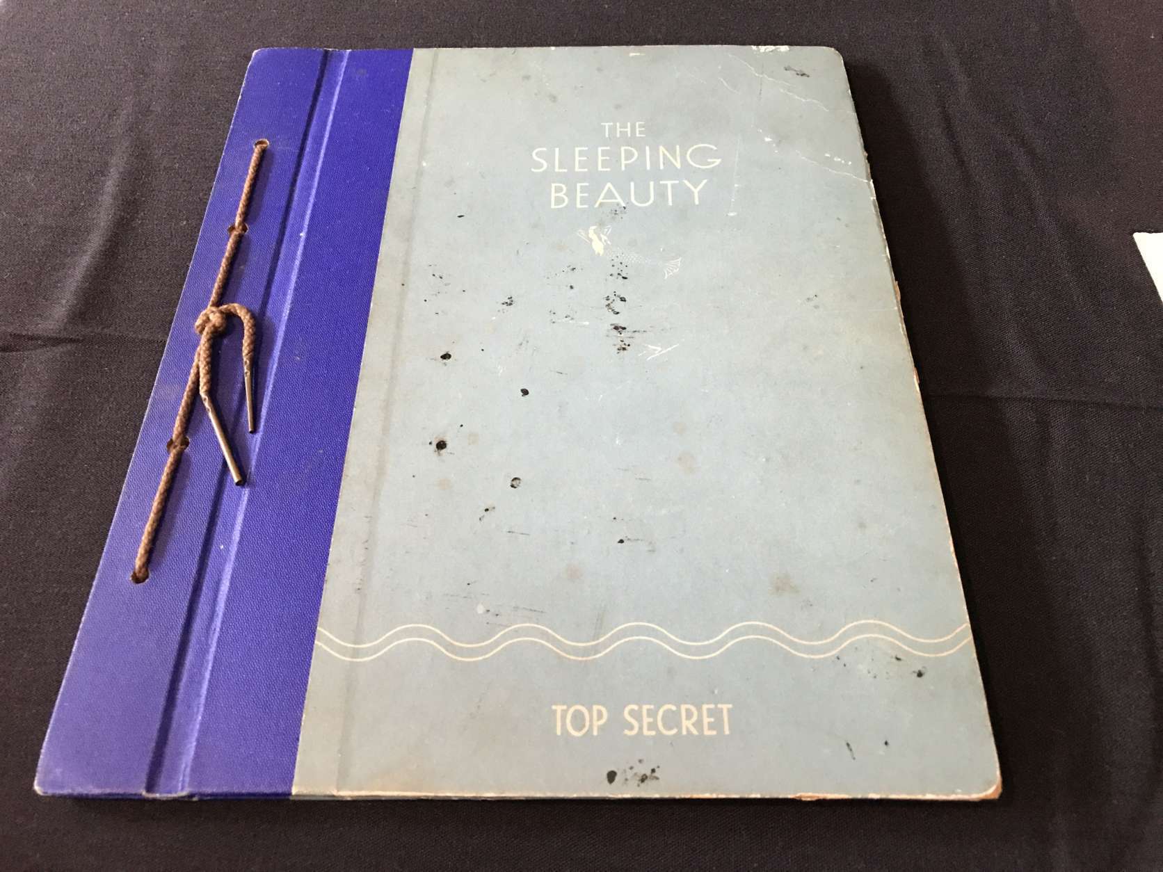 Also on display at a news conference Wednesday was a manual for a "Sleeping Beauty," a submersible vehicle used by the British. Both the manual and the vehicle itself will be donated to the museum. (WTOP/Ginger Whitaker)