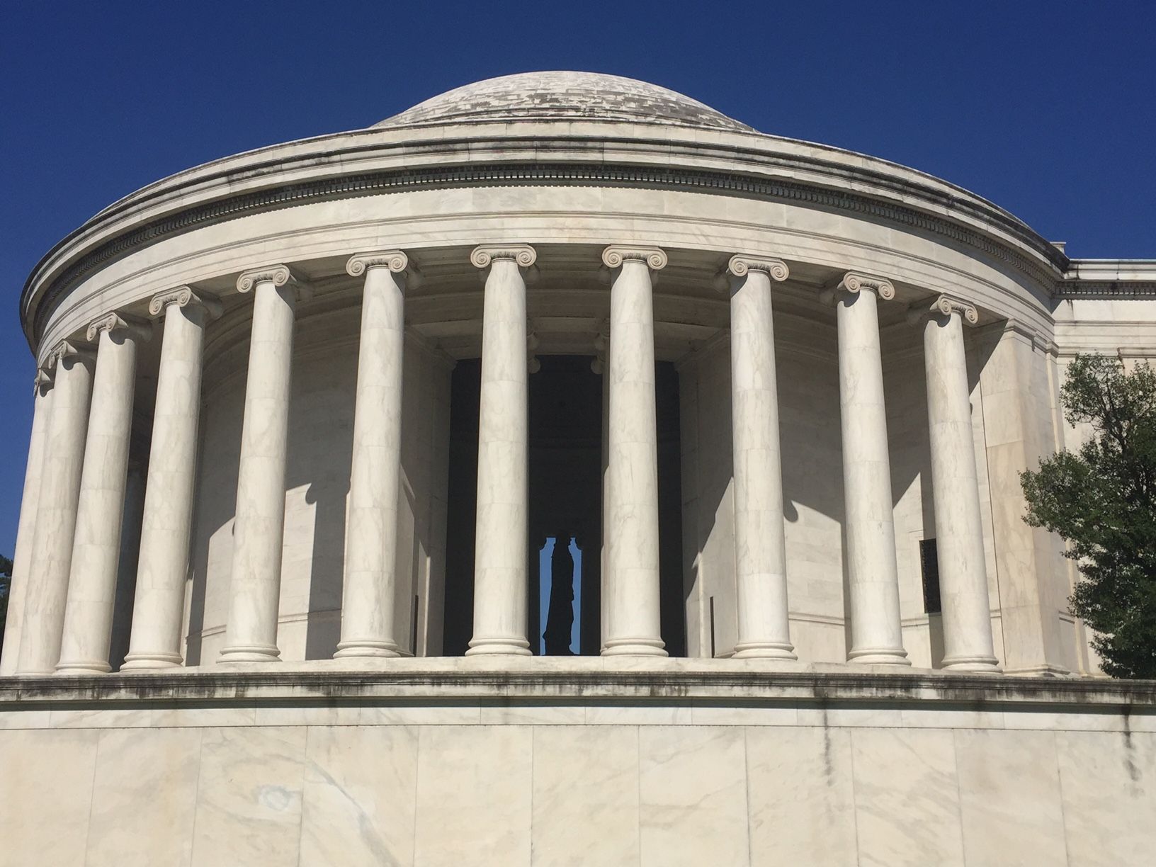 A view of the biofilm on the exterior of the Jefferson Memorial. (Courtesy National Park Service)