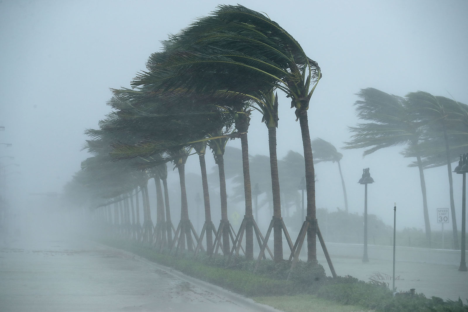 Trees bend in the tropical storm wind along North Fort Lauderdale Beach Boulevard as Hurricane Irma hits the southern part of the state Sept. 10, 2017 in Fort Lauderdale, Florida. The powerful hurricane made landfall in the United States in the Florida Keys at 9:10 a.m. after raking across the north coast of Cuba.  (Photo by Chip Somodevilla/Getty Images)