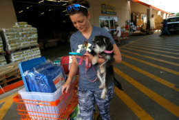 Michelle Smith checks her smart phone for news while clutching her dog Sophia as she leaves a Home Depot store with storm preparation supplies as residents in the area prepare ahead of Hurricane Irma on Sept. 5, 2017 in Tampa, Florida. The National Hurricane Center (NHC) has reported that  Hurricane Irma has strengthened to a Category 5 storm as it crosses into the Caribbean and is expected to move on towards Florida.  (Photo by Brian Blanco/Getty Images)