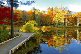 Fall in the Berkshires is sublime, offering spectacular driving views and thickly wooded walking trails. It's one of the best fall vacations for a weekend getaway, particularly for East Coasters. (Courtesy TripAdvisor)
