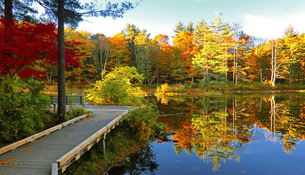 Fall in the Berkshires is sublime, offering spectacular driving views and thickly wooded walking trails. It's one of the best fall vacations for a weekend getaway, particularly for East Coasters. (Courtesy TripAdvisor)