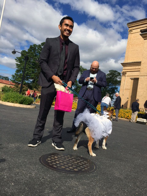Franciscan Monastery of the Holy Land had a Blessing of the Animals on Saturday, Sept. 30, 2017 in D.C. (WTOP/Dennis Foley)