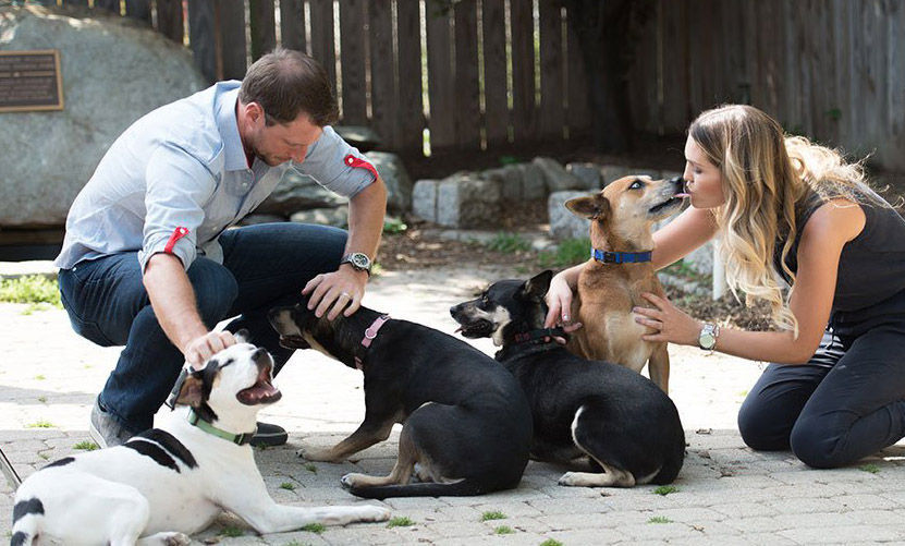 Max, Erica Scherzer sponsor week of pet adoptions as thank-you to DC