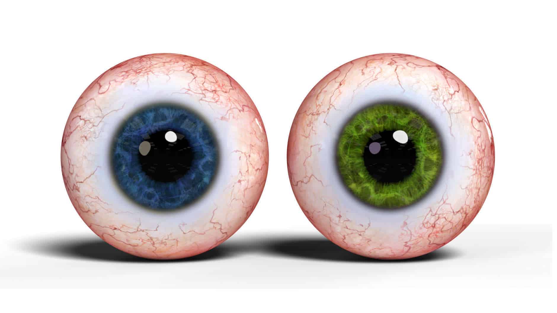 realistic eye balls isolated on white background