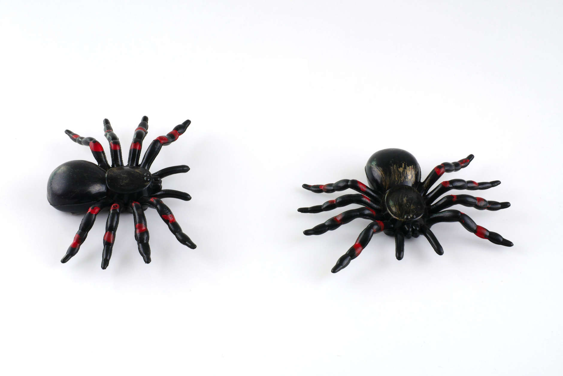 Two toy spider for halloween decoration isolated on white background