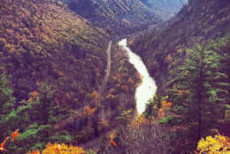 Stunning fall kaleidoscopes await in the Pine Creek Gorge, also known as the Pennsylvania Grand Canyon. Hike the Pine Creek Rail Trail and take in waterfalls, rugged cliff faces and regional wildlife. (Courtesy TripAdvisor)