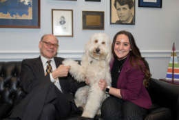 Rep. Steve Cohen, D-Tenn., with his staffer’s dog, Stevie. She’s a 2-year-old Goldendoodle who has been dubbed the office’s "Ambassador of Joy." (Courtesy Humane Rescue Alliance)