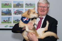 Rep. Glenn Grothman, R-Wisc., with Todd, who belongs to his communication director, Bernadette Green. Todd is believed to be a Siberian husky/Pekingese/miniature dachshund mix. He was adopted from a shelter in Atlanta and was named after NFL player Todd Gurley. Todd spells his last name “Grrrrly.” (Courtesy Humane Rescue Alliance)