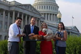 Rep. Lee Zeldin, R-N.Y., with his staffers Matt, Nicole, and Jennifer and their respective pets Spaghetti, Kennedy, and Lorenzo. (Courtesy Humane Rescue Alliance)