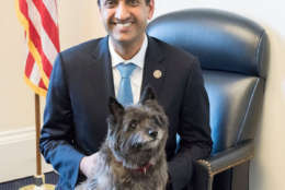 Rep. Ro Khanna, D-Pa., and his scheduler Angela’s dog, Jillian. Little Jillian runs the show when she’s in the office and is known to be the office greeter. (Courtesy Humane Rescue Alliance)