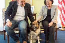 Sen. Mazie Hirono, D-Hawaii, and staffer Anthony’s dog, Beacon. Beacon was adopted a few years ago when he caught his dad’s eye while he was accompanying D.C. Council member Mary Cheh on a tour of the New York Avenue Adoption Center. (Courtesy Humane Rescue Alliance)