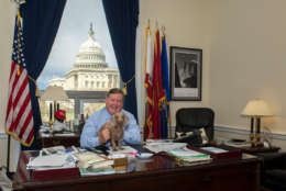 Rep. Ken Calvert (R-Calif.) with his 9-year-old Dachshund Cali in his Capitol Hill office. (Courtesy Humane Rescue Alliance)