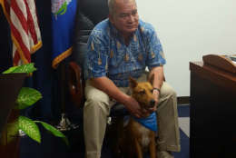 Del. Gregorio Kilili Camacho Sablan, I-Northern Mariana Islands, and his dog Sookie. Six-year-old Sookie came to the Sablan family in January 2017 when their friends were moving and entrusted the family to look after her. Sablan says, “She owns our home.” (Courtesy Humane Rescue Alliance)