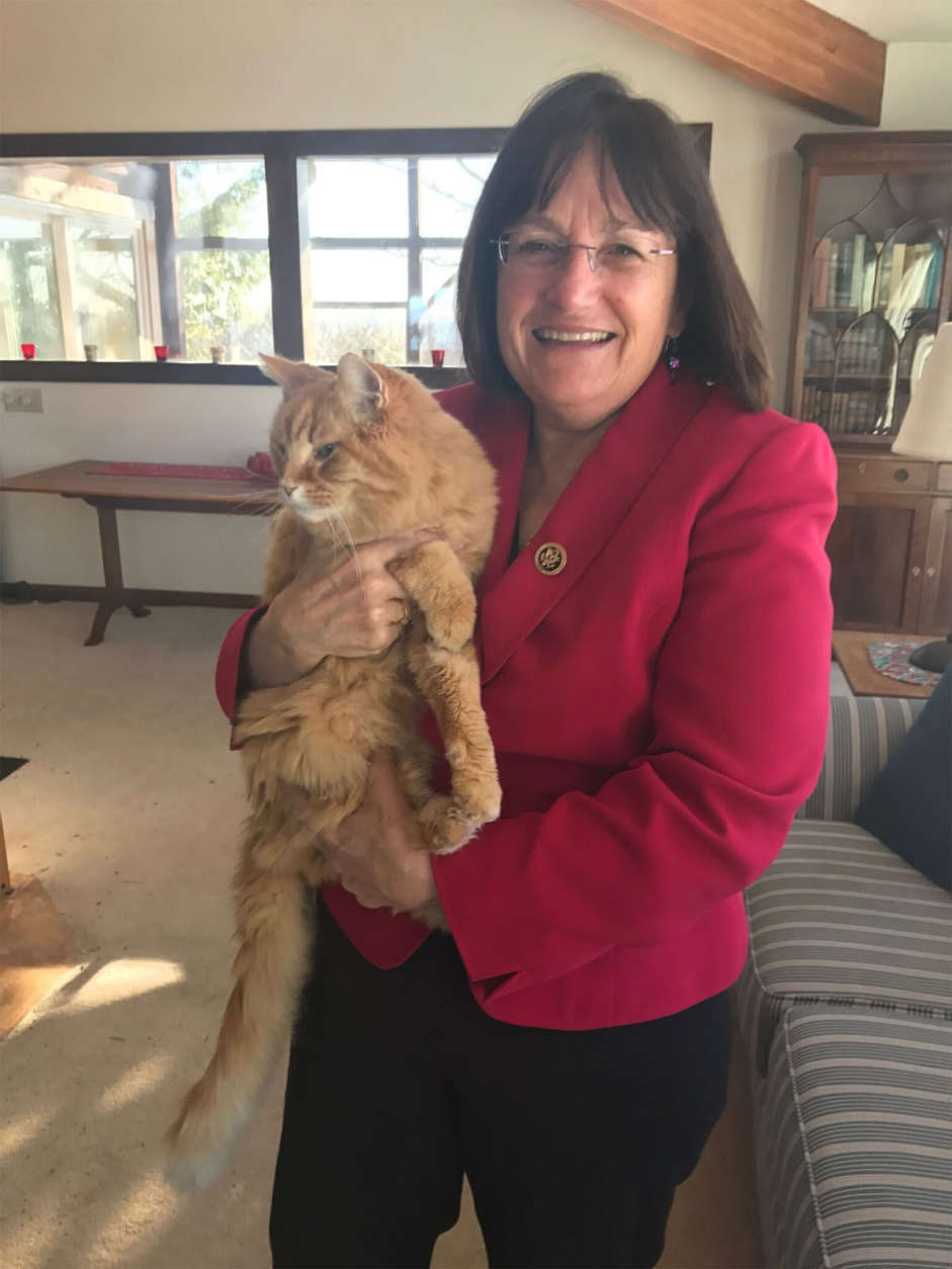 Rep. Ann Kuster, D-N.H., and her beloved cat, Pete. Sadly, he passed away shortly after this photo was taken. (Courtesy Humane Rescue Alliance)