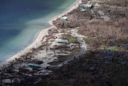 CHARLOTTE AMALIE, US VIRGIN ISLANDS - SEPTEMBER 17:  Trees remain windblow and stripped of their leaves on Magens Bay Beach more than a week after Hurricane Irma made landfall September 17, 2017 in Charlotte Amalie, St Thomas, U.S. Virgin Islands. Irma slammed into the Leeward Islands on September 6 as a Category 5 storm, killing four and causing major damage on the islands of St. John and St. Thomas.  (Photo by Chip Somodevilla/Getty Images,)