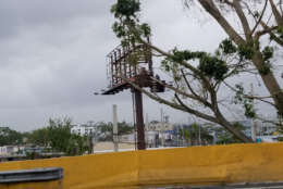 Almost no traditional billboards survived in Sabana Abajo, just outside of San Juan, Puerto Rico. (WTOP/Albert Shimabukuro)