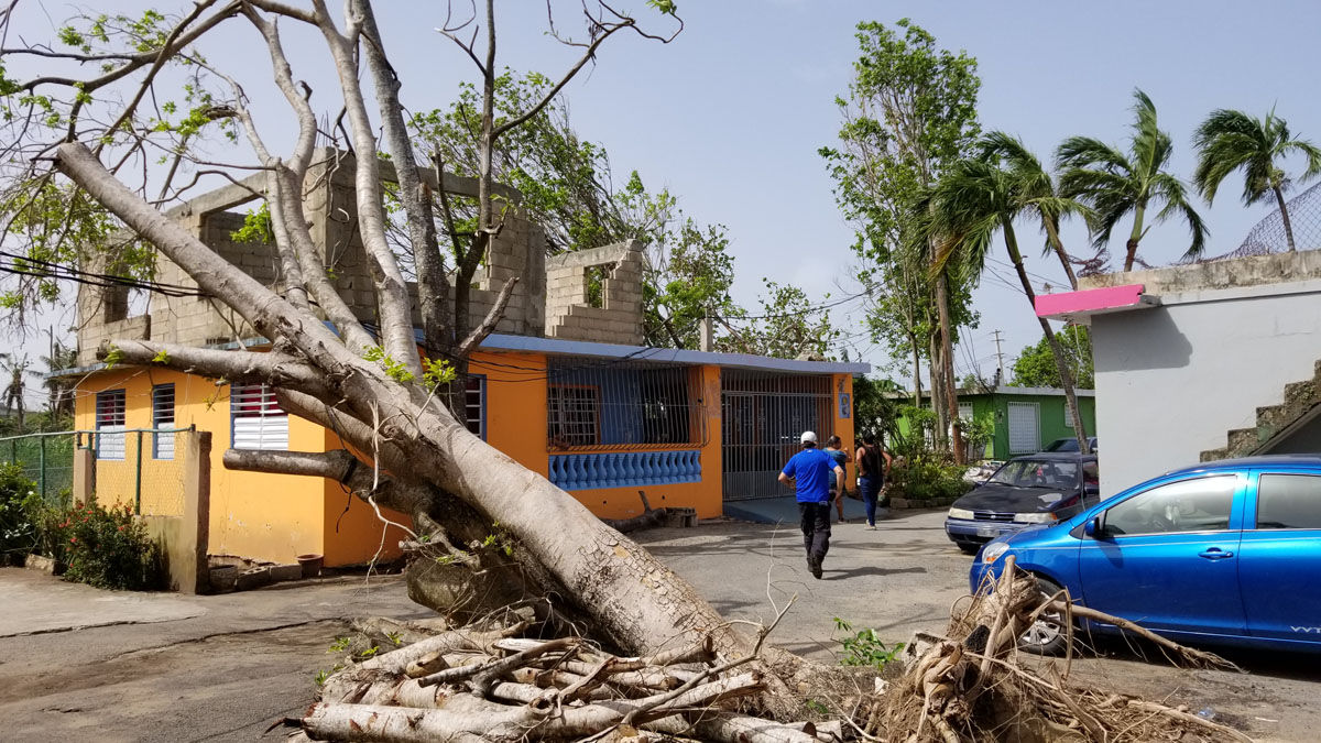 Loíza sits around 18 miles east of San Juan, Puerto Rico, and the destruction here is widespread.
 (WTOP/Albert Shimabukuro)