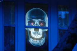 A skull waits in the windows for visitors in Northwest D.C. (WTOP/Kate Ryan)