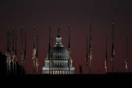 The U.S. Capitol dome backdrops a column of American flags standing at half-staff at dawn on Tuesday, Oct. 3, 2017, at the foot of the Washington Monument on the National Mall in Washington. President Donald Trump ordered flags to be flown at half-staff at the White House and upon all public buildings and grounds, at all military posts and naval stations, and on all naval vessels of the Federal Government in the District of Columbia and throughout the United States and its Territories and possessions until sunset on October 6, 2017, to pay respect for the victims of the shooting at a country music concert Sunday night in Las Vegas, the deadliest in modern U.S. history. (AP Photo/Manuel Balce Ceneta)