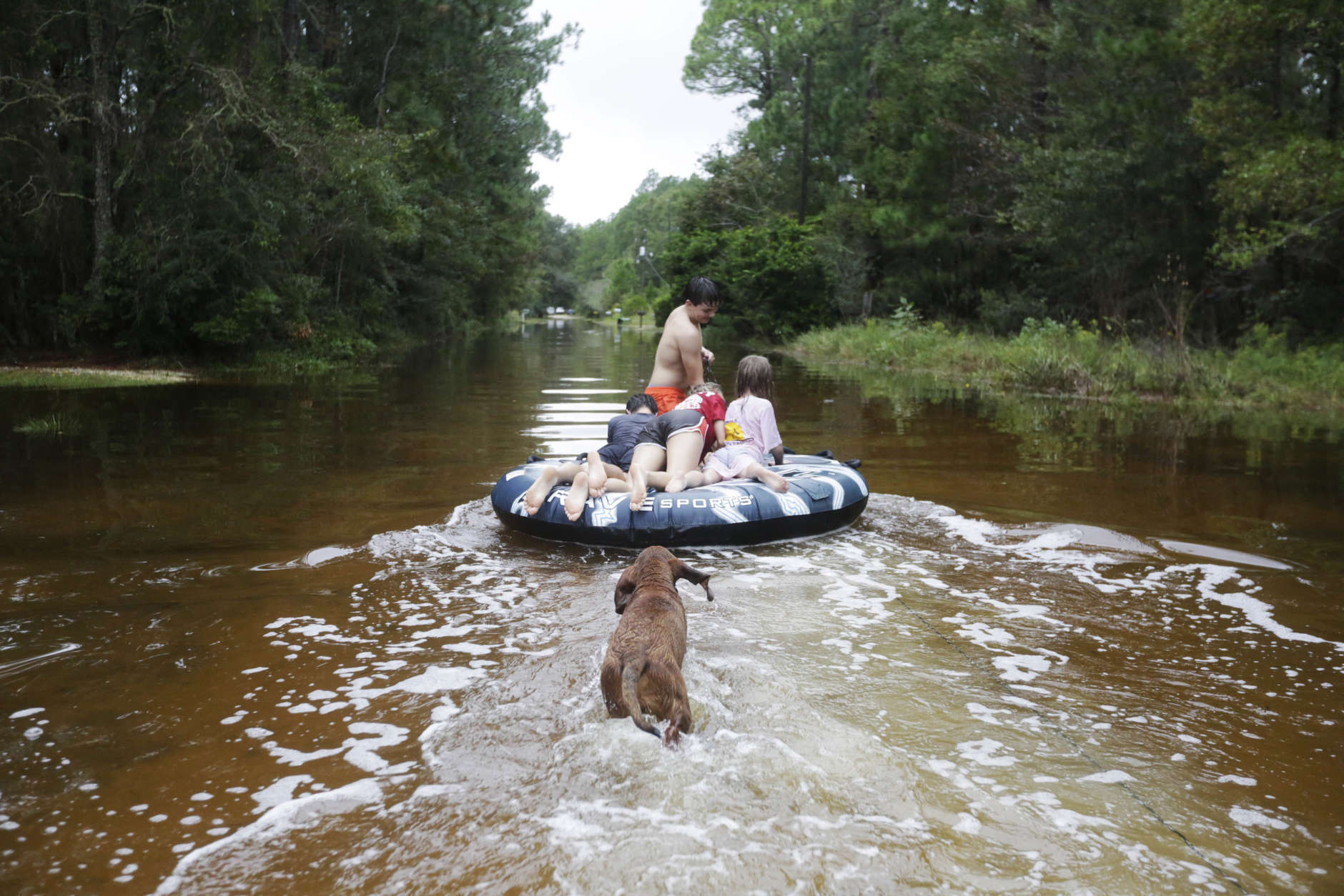Crimson Peters, 7, right, Tracy Neilsen, 13, center top, Macee Neilsen, 15, center, and Tim Neilsen III, 16 ride an inter tube as their dog "Chevy" trials behind them down a flooded street after Hurricane Nate, Sunday, Oct. 8, 2017, in Coden, Ala. (AP Photo/Brynn Anderson)