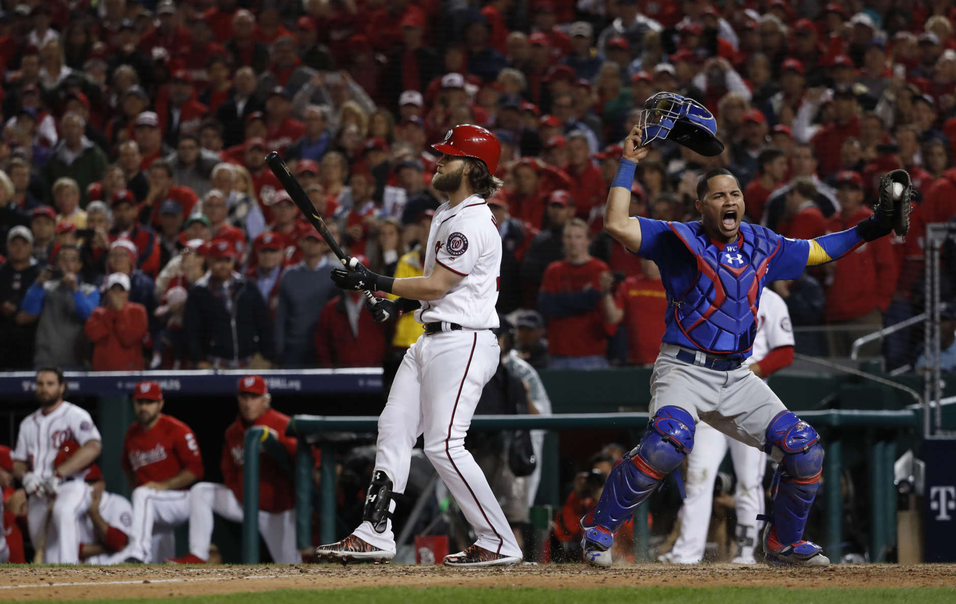 Chicago Cubs catcher Willson Contreras begins to celebrate after Washington Nationals' Bryce Harper struck out swinging in the ninth inning to end Game 5 of a baseball National League Division Series, at Nationals Park, early Friday, Oct. 13, 2017, in Washington. The Cubs advanced to the NLCS with a 9-8 win. (AP Photo/Pablo Martinez Monsivais)