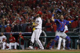 Chicago Cubs catcher Willson Contreras begins to celebrate after Washington Nationals' Bryce Harper struck out swinging in the ninth inning to end Game 5 of a baseball National League Division Series, at Nationals Park, early Friday, Oct. 13, 2017, in Washington. The Cubs advanced to the NLCS with a 9-8 win. (AP Photo/Pablo Martinez Monsivais)