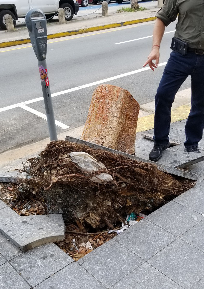 Damage is visible in the Condado neighborhood of San Juan, Puerto Rico, several weeks after the tumultuous hurricanes. (WTOP/Albert Shimabukuro)