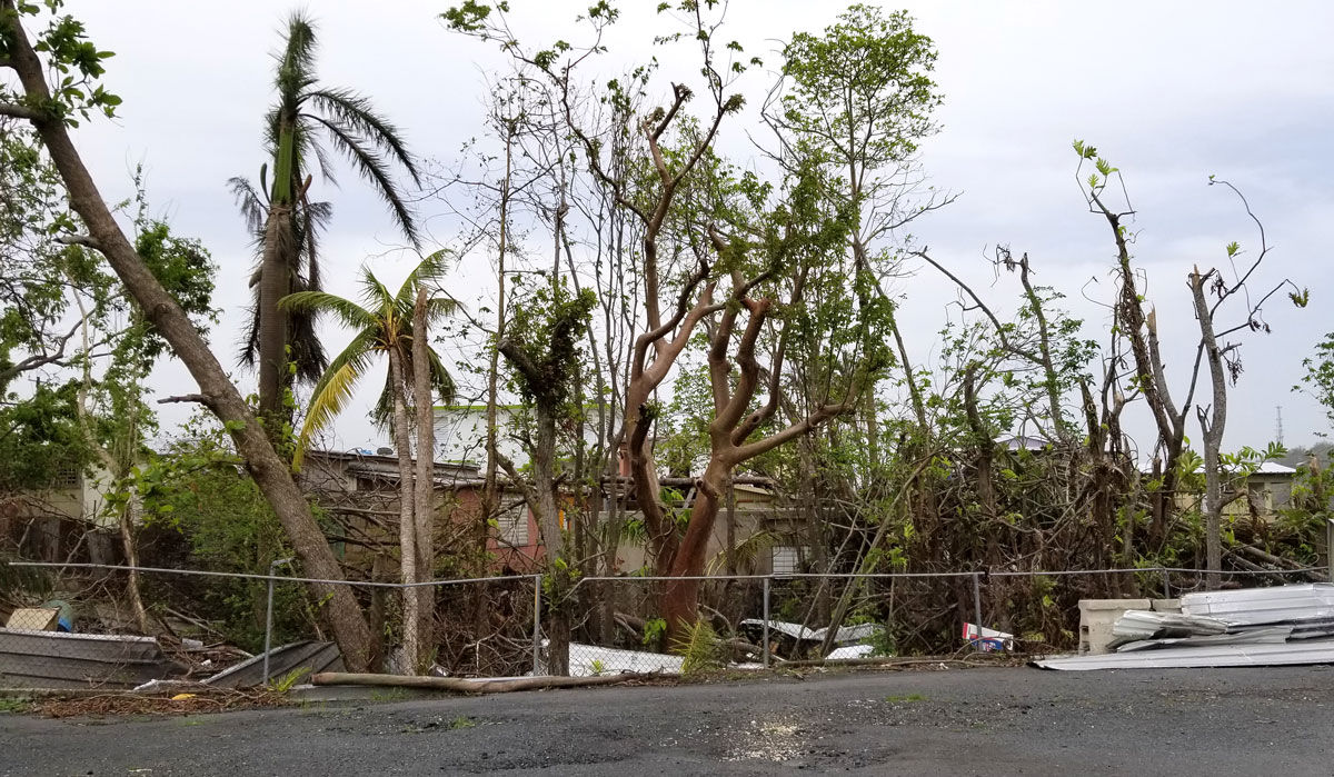 The destruction is apparent at this warehouse in Bayamón, about 12 miles south of San Juan, Puerto Rico. (WTOP/Albert Shimabukuro)