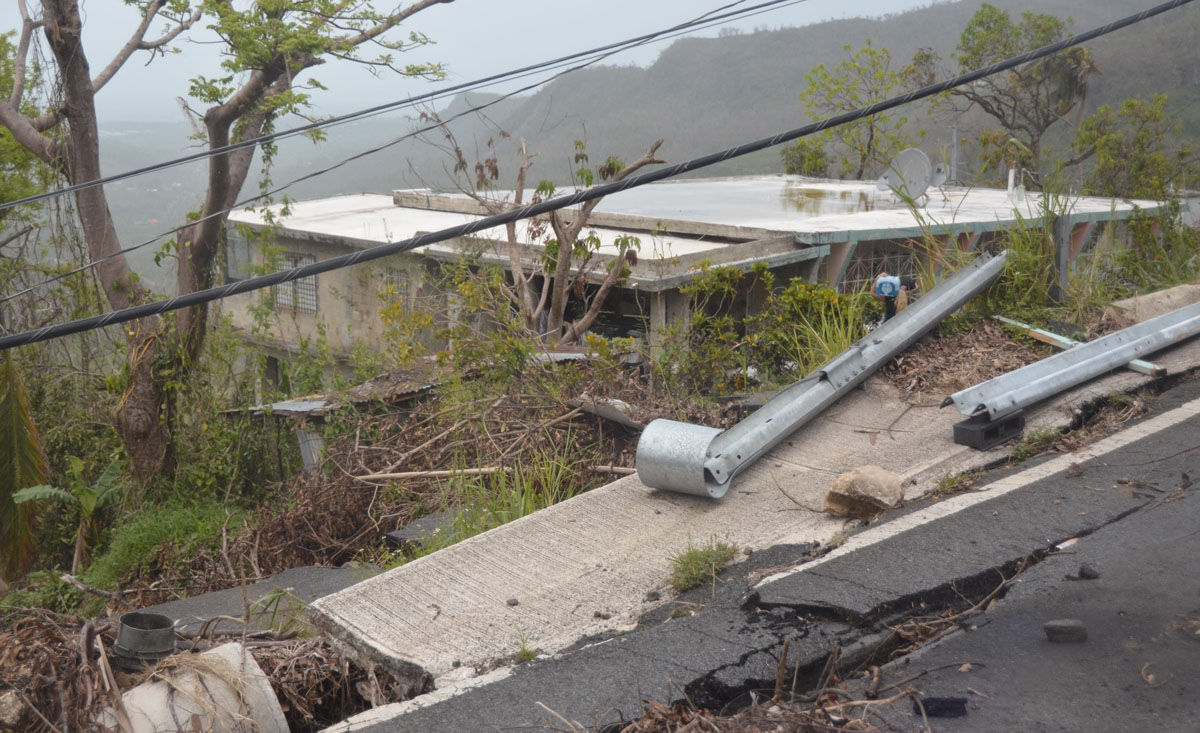 Some 30 miles east of San Juan, damage is seen here in the southern portion of El Yunque National Forest. Elevation is around 3,000 to 3,500 feet high around here. (Photo courtesy of NAB's Suzanne Raven, @broadlyserving)