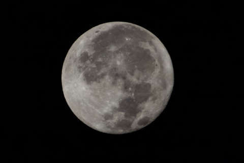 Enjoy the lunar sights on ‘International Observe the Moon Night’