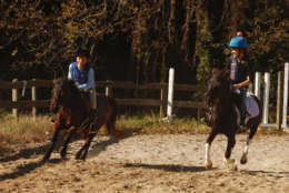 Racing around the ring at Olney Farm. Addie Steffes on Mardi Gras and Sophie Perri on Smarty Pants. (WTOP/Kate Ryan)