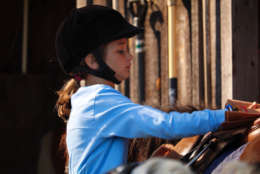 After the ride, it’s time to take care of those hardworking Shetland ponies. (WTOP/Kate Ryan)