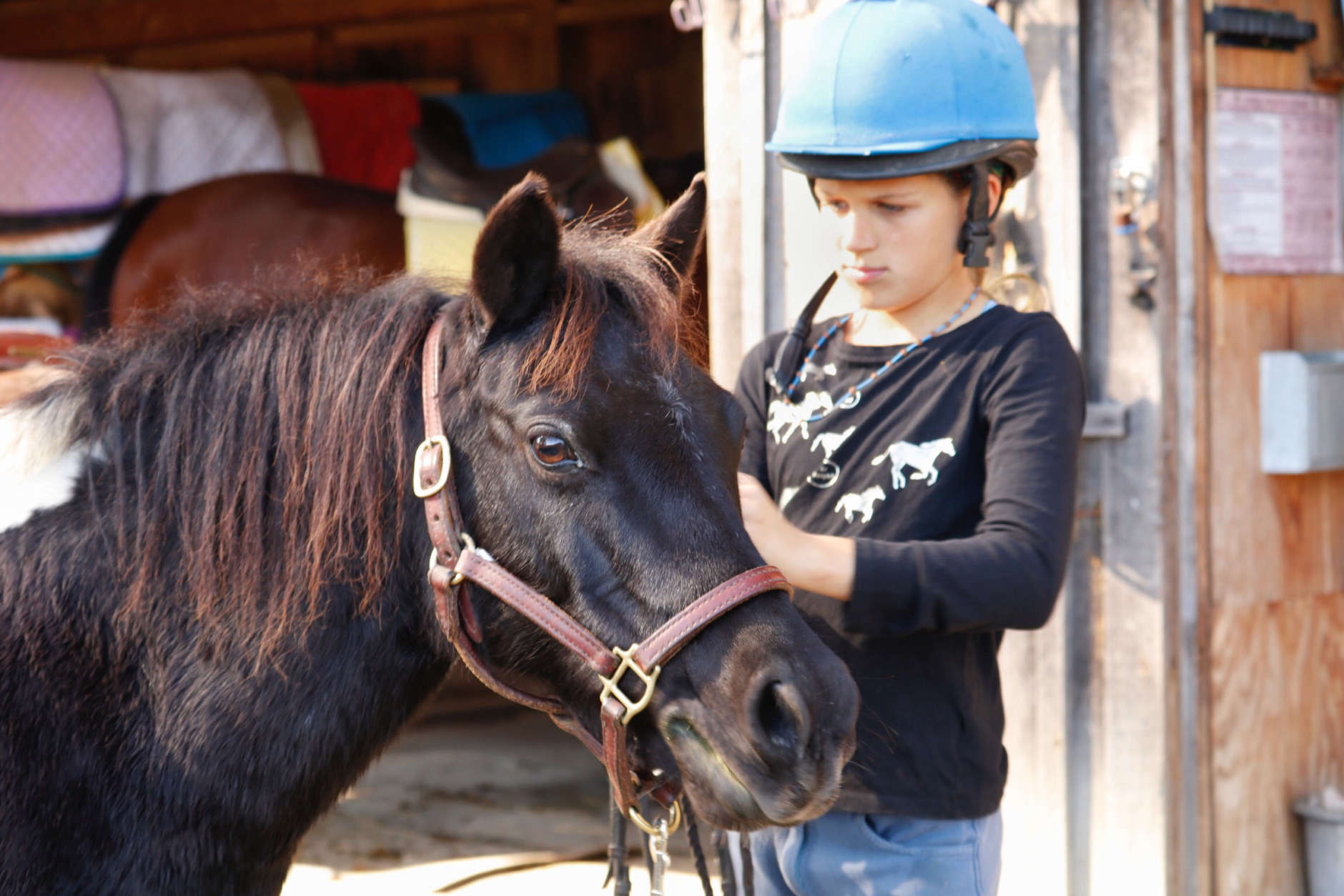 Sophie takes the bridle and saddle off Shetland Pony Smarty Pants after the days workout. (WTOP/Kate Ryan)