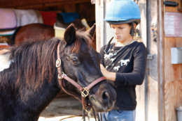 Sophie takes the bridle and saddle off Shetland Pony Smarty Pants after the days workout. (WTOP/Kate Ryan)