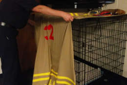 Some firefighters prefer a bed, but Wally prefers a crate. (WTOP/Kathy Stewart)