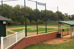 The Wrigley Field replica, which includes real ivy along the outfield wall, and a brick facade installed by Billy Ripken himself. (WTOP/Noah Frank)