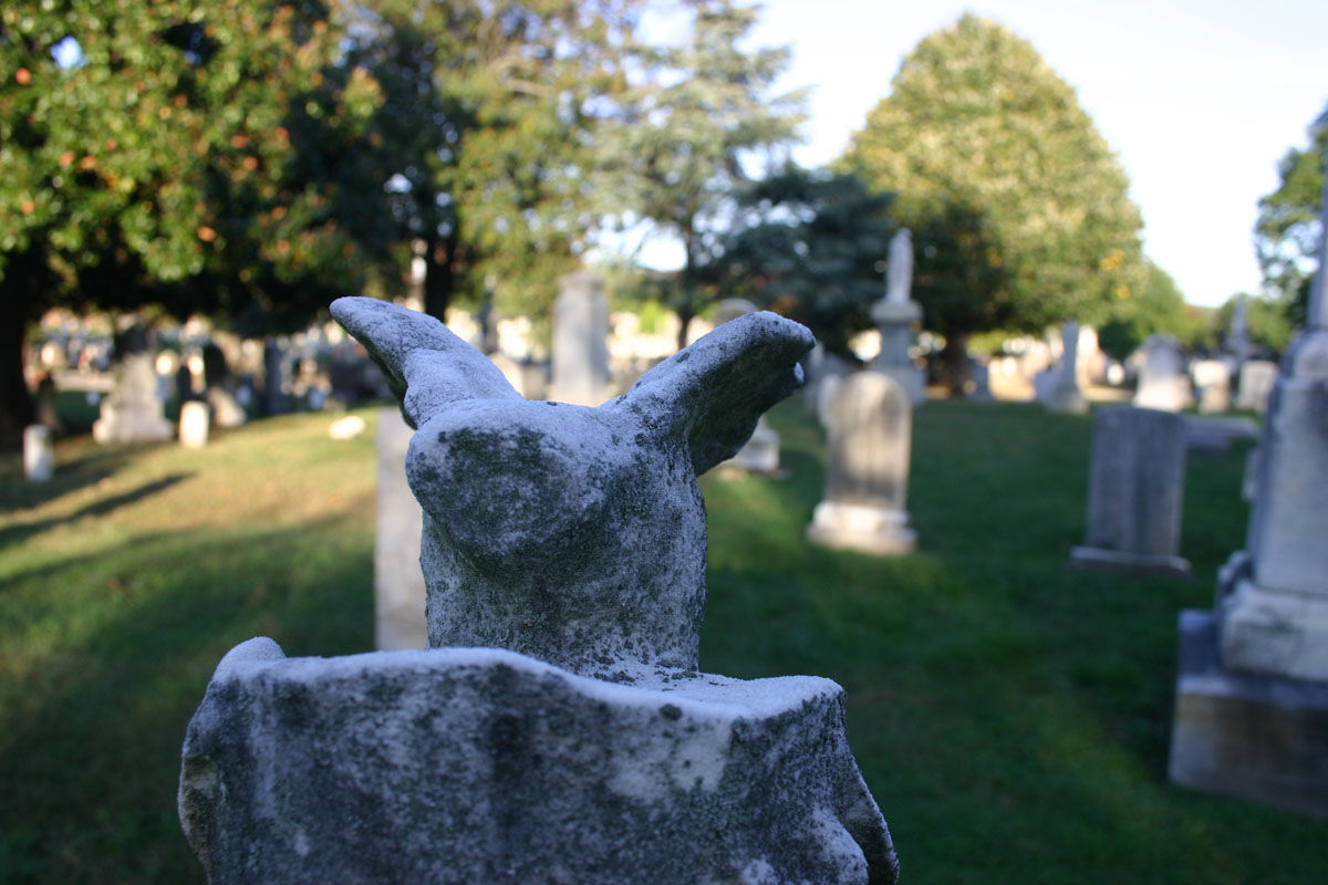 Congressional Cemetery (WTOP/Jack Moore)