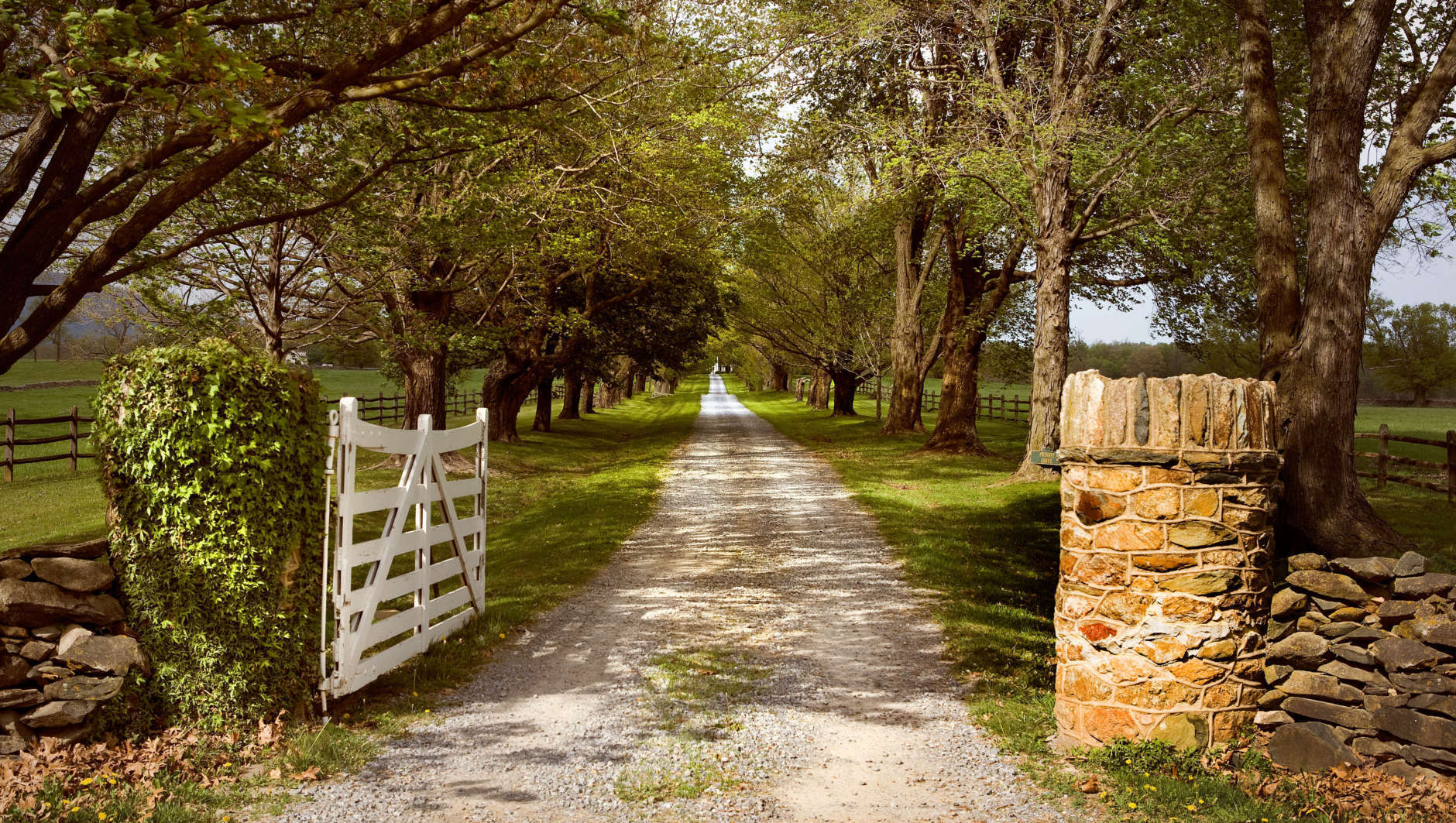 Entrance to plantation in Middleburg