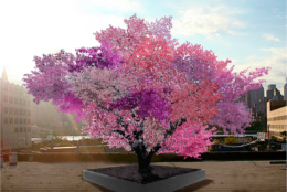 Van Aken's "Tree of 40 Fruit" is a series of hybridized fruit trees. One will be will be on display Friday through Sunday as part of the Smithsonian National Museum of American History’s ACCelerate Creativity and Innovation Festival. (Courtesy Sam Van Aken)