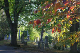 Oak Hill Cemetery (WTOP/Jack Moore)