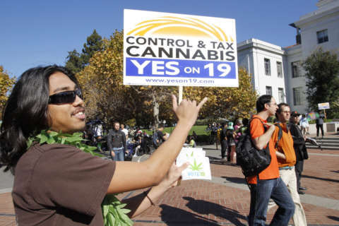 Marijuana seen as safe among college students, but not administrators, survey shows