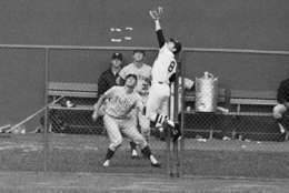 Boston?s Carl Yastrzemski of the American League leaps high over the left field fence to snag home run bound ball of National League?s Johnny Bench in the All-Star game?s sixth inning on July 23, 1969 in Washington. In bullpen are Mike Ryan, catcher, of Philadelphia and Jerry Koosman of New York, National League pitchers. (AP Photo)